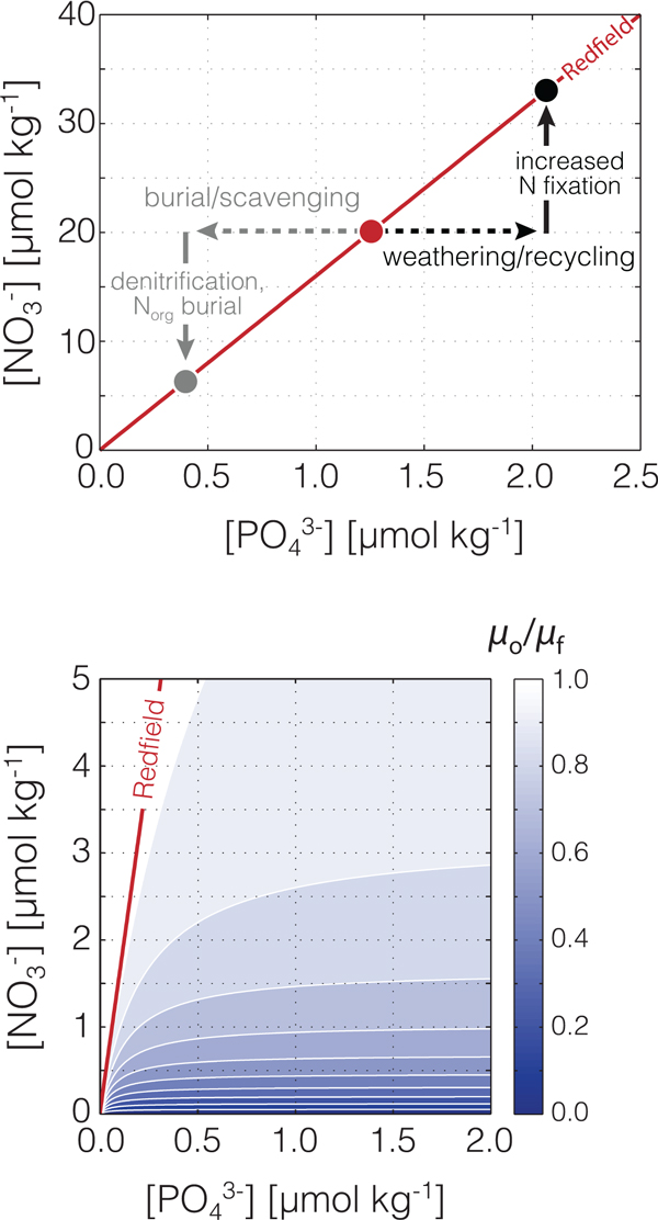 Biogeochemical Controls On The Redox Evolution Of Earth’s Oceans And ...